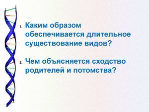 Вводная презентация к проекту "Размножение организмов"