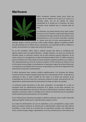 Artículos de Divulgación