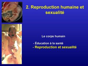 Chapitre 2_reproduction humaine_partie 3-site WEB