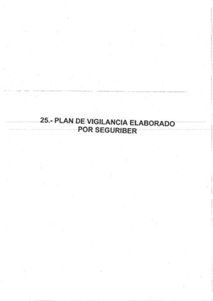 Plan de seguridad de Seguriber, para el evento del Madrid Arena.