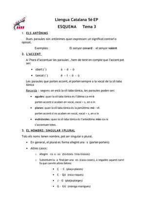 Esquema 3  català 5