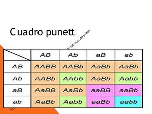 cuadro de punett