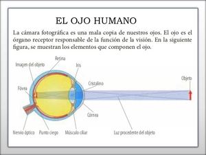El Ojo Humano