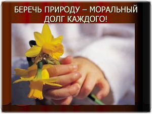 Жалобная книга природы