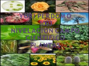 desarrollo de las plantas