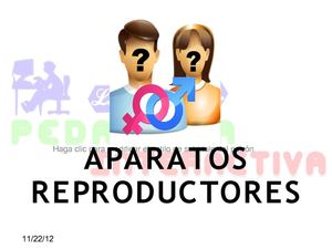 Aparato Reproductor Humano