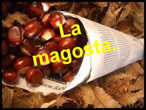 María. De donde proviene la magosta.