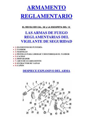 Las armas reglamentarias del vigilante de seguridad
