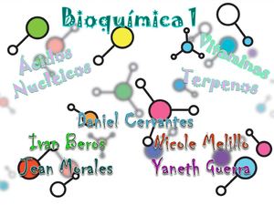 Bioquimica 1 (Vitaminas, Terpenos y Àcidos Nucleicos)