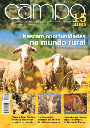 Edição 155 - outubro - 2012