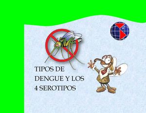 El Dengue y sus caracteristicas