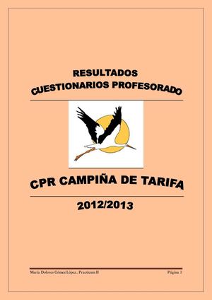 CUESTIONARIOS MAESTROS.AS (gráficos)