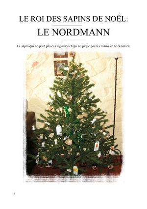 LE SAPIN DE NOEL NORDMANN livré sur SAINT MALO