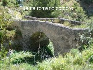 puente de almuñecar