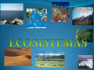 yuliana sanchez lopez 1º "C"