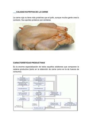 PROCESO Y PRODUCCIÓN DE POLLOS 