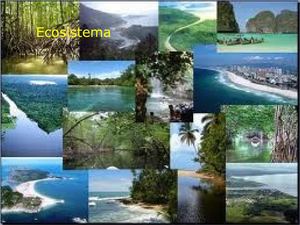 ecosistema   edgar santiago garcia lopez 