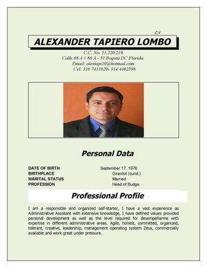 CV ALEXANDER TAPIERO LOMBO