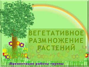 Вегетативное размножение растений