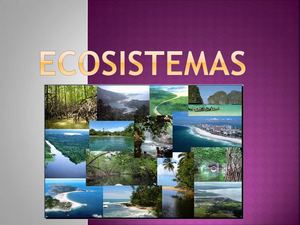maria jesus silvan zapata ecosistemas
