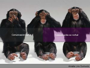 La comunicación 