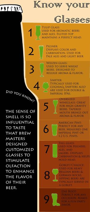 Beer Glass Infographic