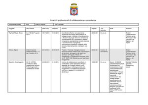 Consulenze REGIONE PUGLIA