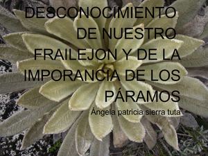 Desconocimiento  local