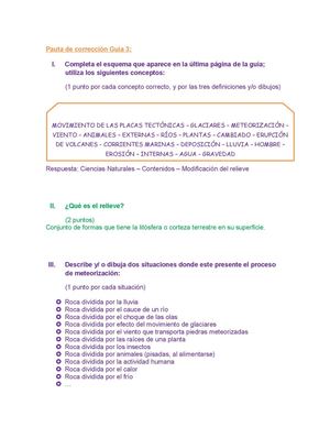 Pauta de corrección Guía: Modificación del relieve a lo largo del tiempo