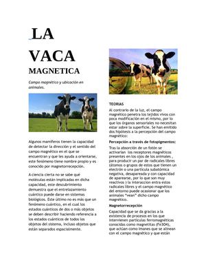 La vaca magnetica