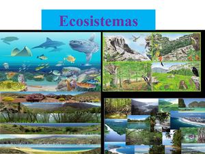 ecosistemas enoc