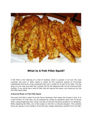 What Is A Fish Fillet Squid?