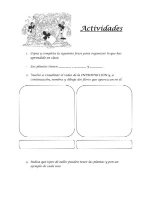 Actividades Las Plantas