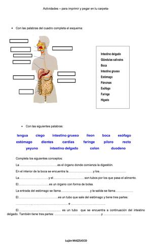 Actividades- para imprimir