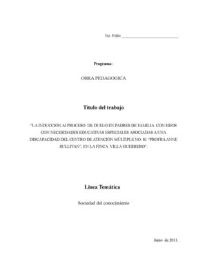 La inducción al proceso de duelo en padres de familia con hijos con necesidades educativas especiales asociadas a una discapacidad del Centro de Atención Múltiple No. 81 “Profra. Anne Sullivan”, en la finca Villa Guerrero 