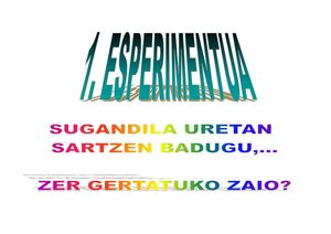 1. Esperimentua