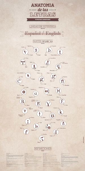 Impresion Anatomia de las letras