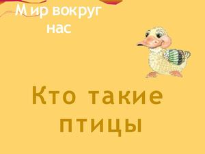 Кто такие птицы?