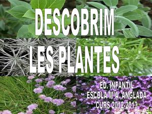 DESCOBRIM LES PLANTES