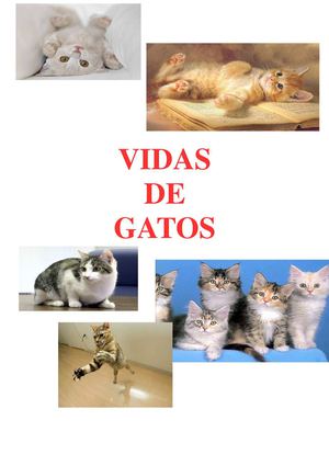 Vidas de gatos