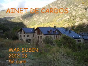 AINET DE CARDÓS, MAR