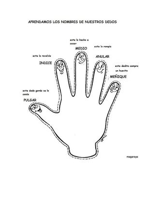 Fichas dell cuerpo humano