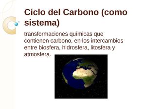 la entrada y salida del carbono