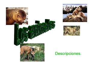 PresentaciónLOS ANIMALES