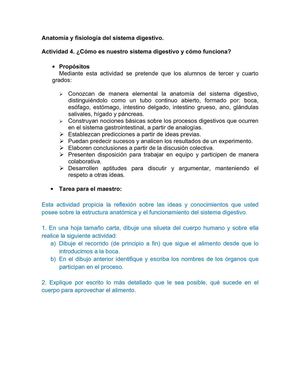 act. 4 2o.ciclo_diana