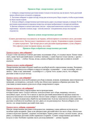 Правила сбора лекарственных растений