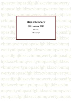 Rapport de stage - DCG 2013