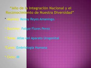 atlas de embriologia 