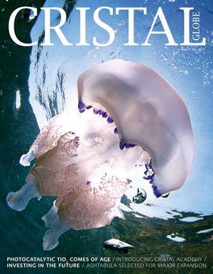 Cristal Global Dec 2011 Issue 7