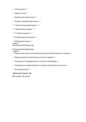 шаблон портфолио проекта